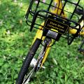 Fahrrad mit Korb_share more_consume less_@unsplash_pop zebra